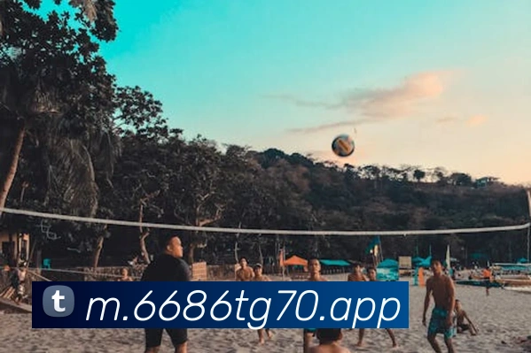 6686APP 封面图